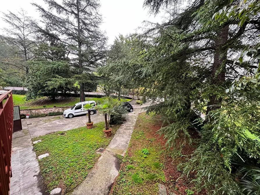 Immagine 45 di Rustico / casale in vendita  in Via Tovazzi a Monteviale