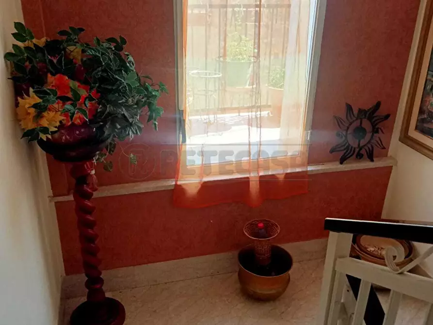Immagine 11 di Casa indipendente in vendita  a Castelvetrano