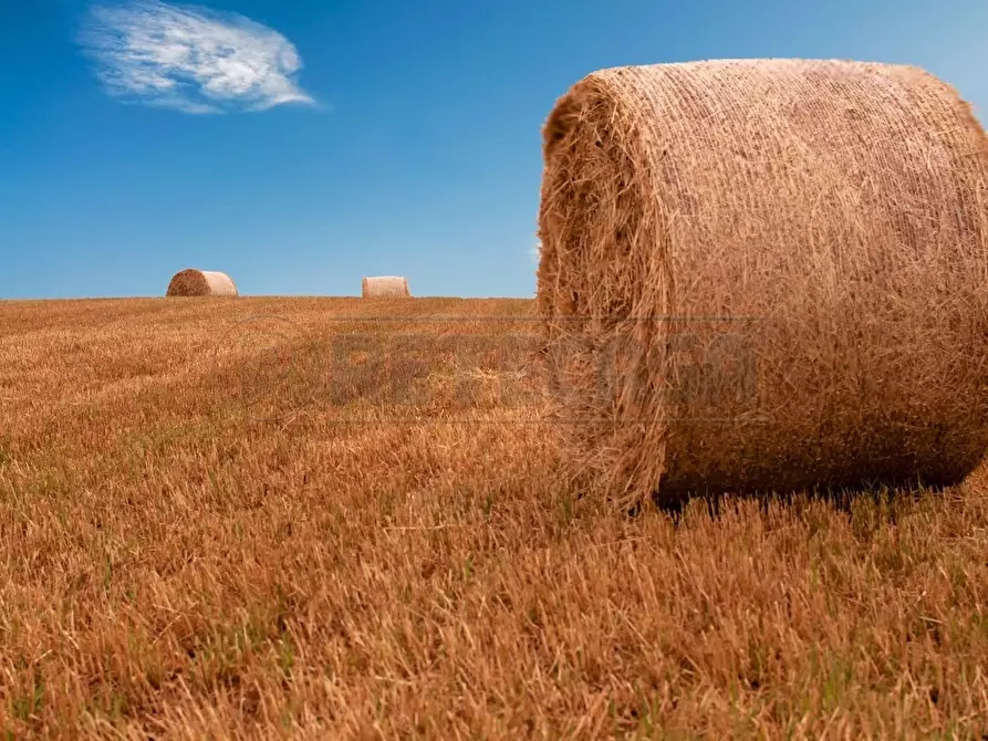 Immagine 13 di Terreno agricolo in vendita  in Via Barcarola 31 a Cadoneghe