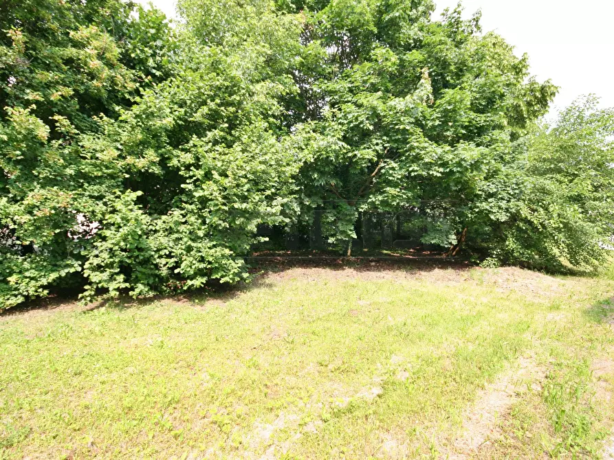 Immagine 2 di Villa in vendita  a Chiampo