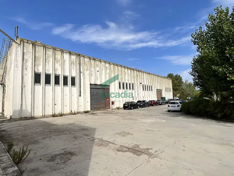 Immagine 10 di Attività artigianale in affitto  in SP231 a Bitonto