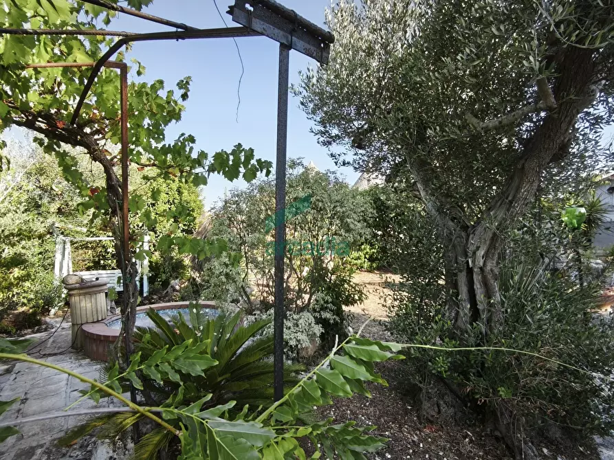 Immagine 32 di Rustico / casale in vendita  in Contrada Terranova a Monopoli