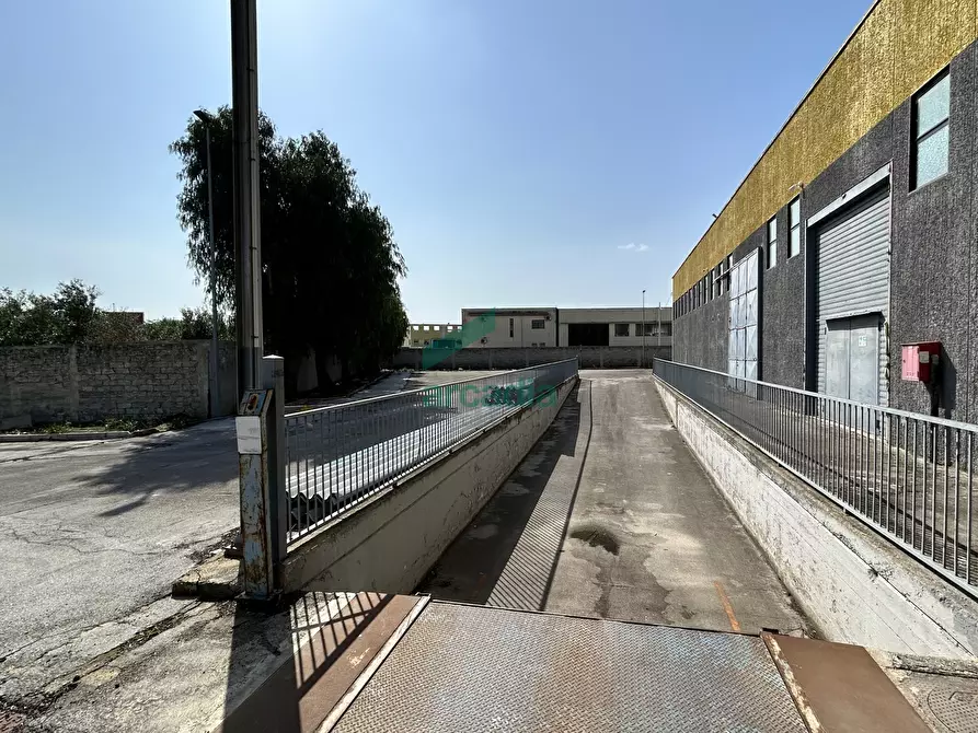 Immagine 14 di Attività artigianale in affitto  in SP231 98 a Terlizzi