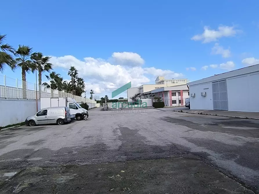 Immagine 30 di Attività artigianale in affitto  in S.S. 16 km 810,800 SN a Triggiano