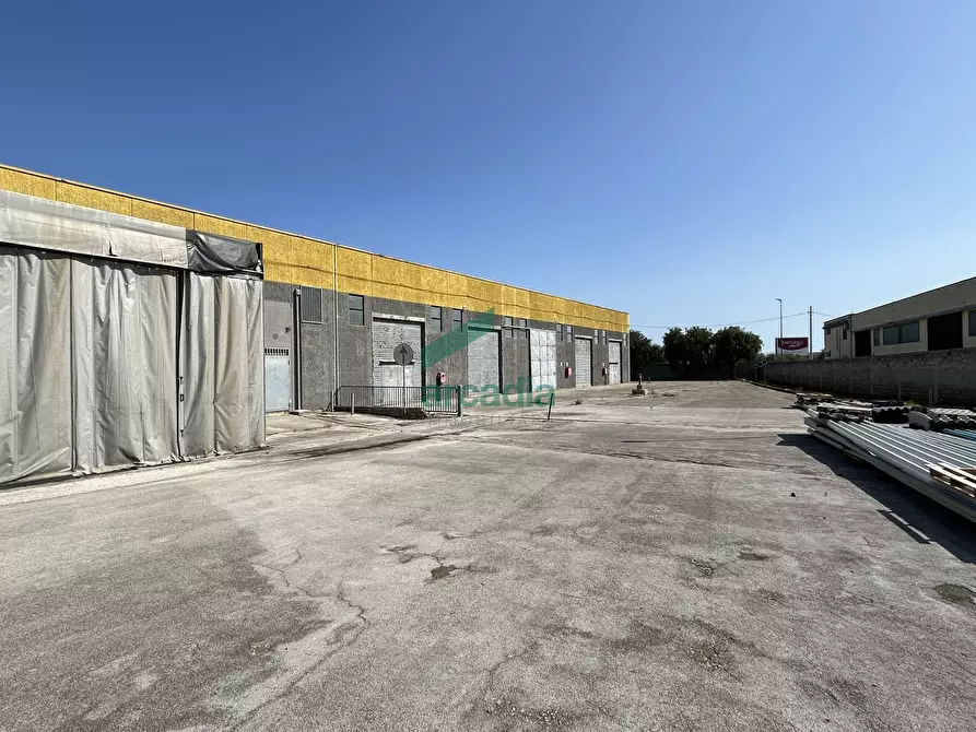 Immagine 12 di Attività artigianale in affitto  in SP231 98 a Terlizzi