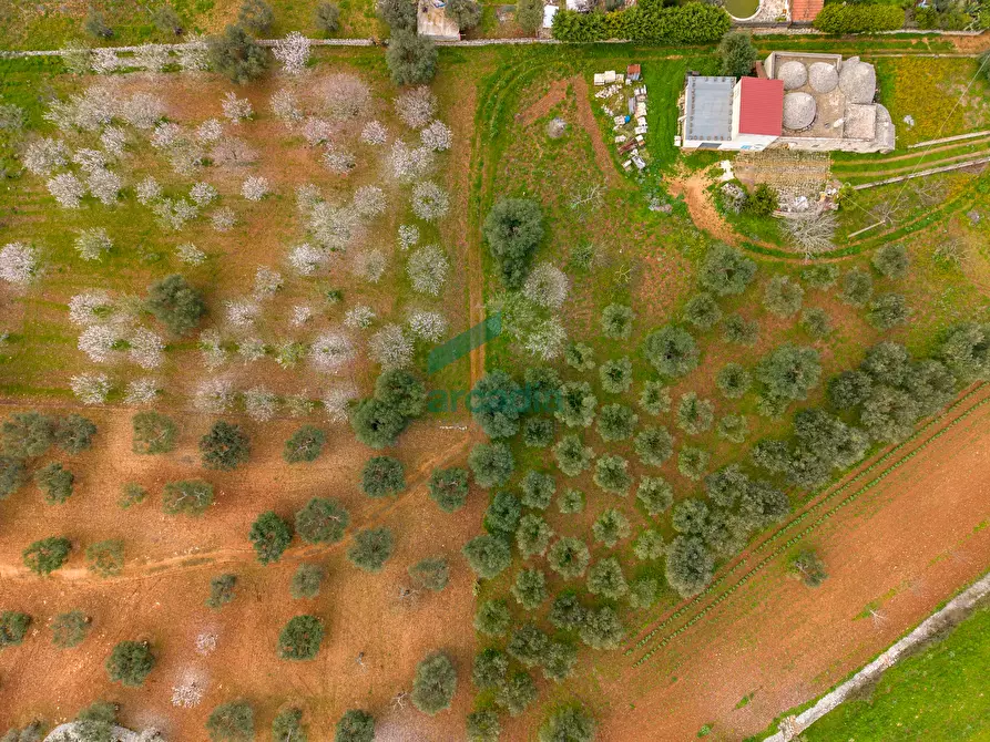 Immagine 29 di Rustico / casale in vendita  in Contrada Terranova a Monopoli