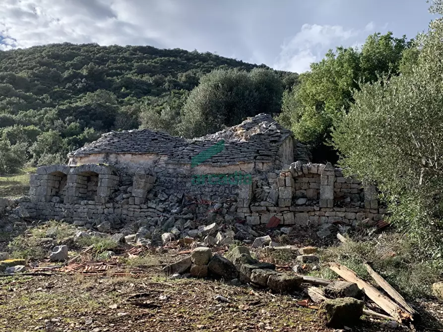 Immagine 14 di Rustico / casale in vendita  in Contrada Torchiano a Monopoli