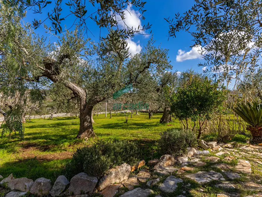 Immagine 25 di Villa in vendita  in Strada Comunale della Contrada delle Guadiane 25 A a Castellana Grotte