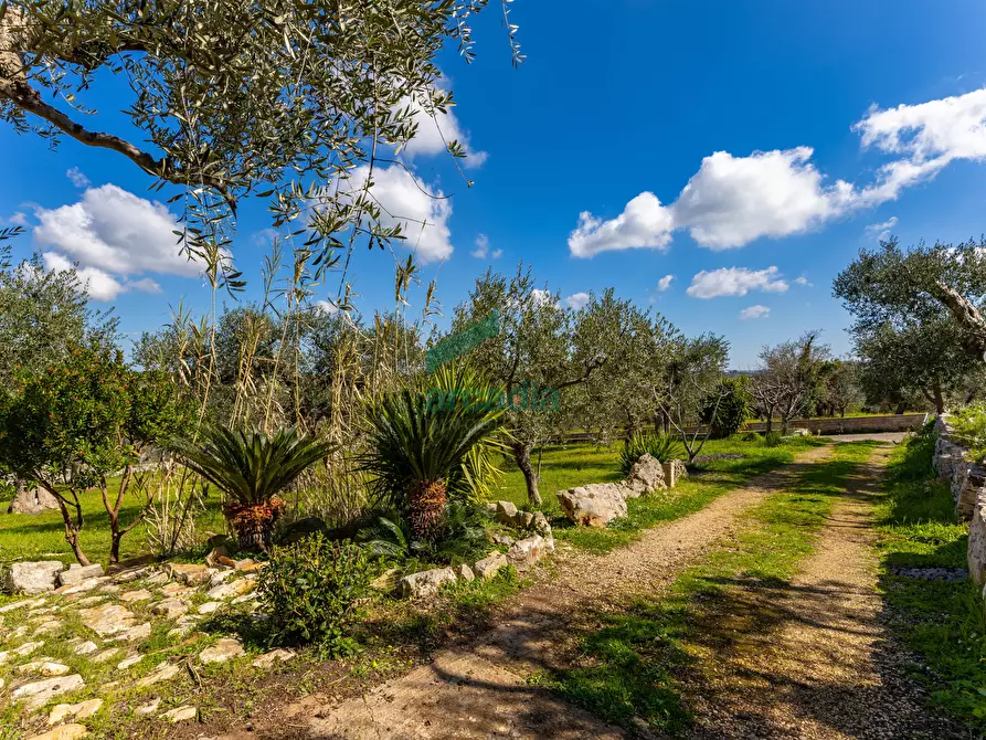 Immagine 26 di Villa in vendita  in Strada Comunale della Contrada delle Guadiane 25 A a Castellana Grotte