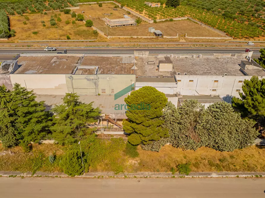 Immagine 6 di Capannone industriale in vendita  in Km 31, 800 a Sammichele Di Bari