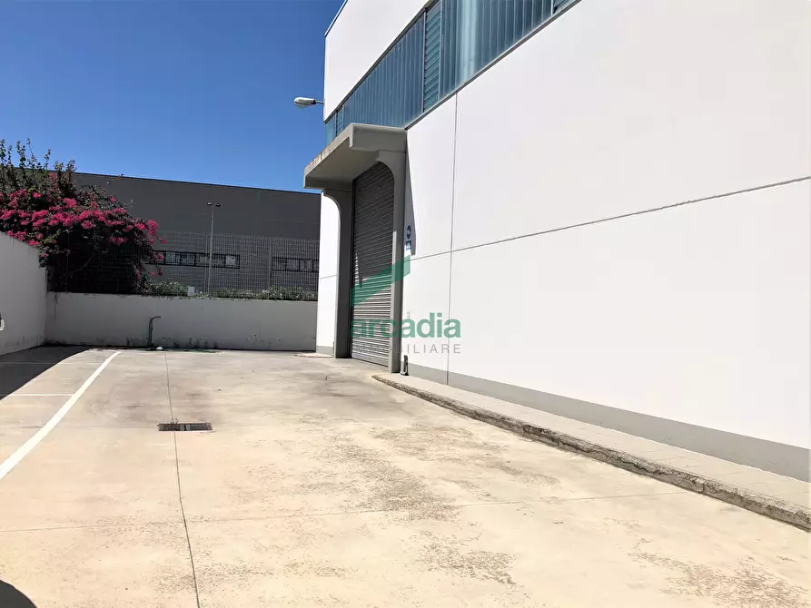 Immagine 42 di Attività artigianale in vendita  in Via delle Magnolie 8 a Modugno