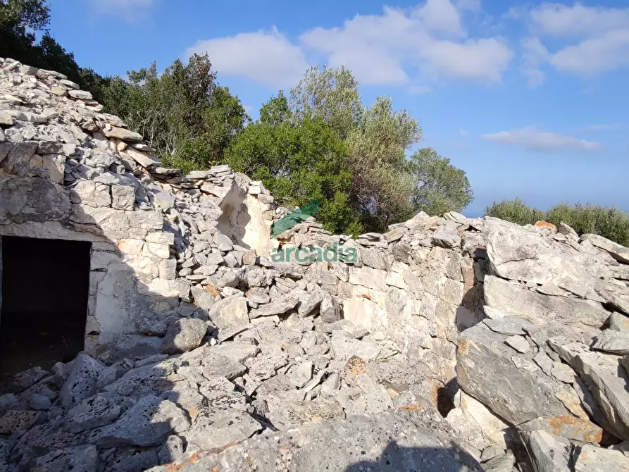 Immagine 9 di Rustico / casale in vendita  in Contrada Torchiano a Monopoli
