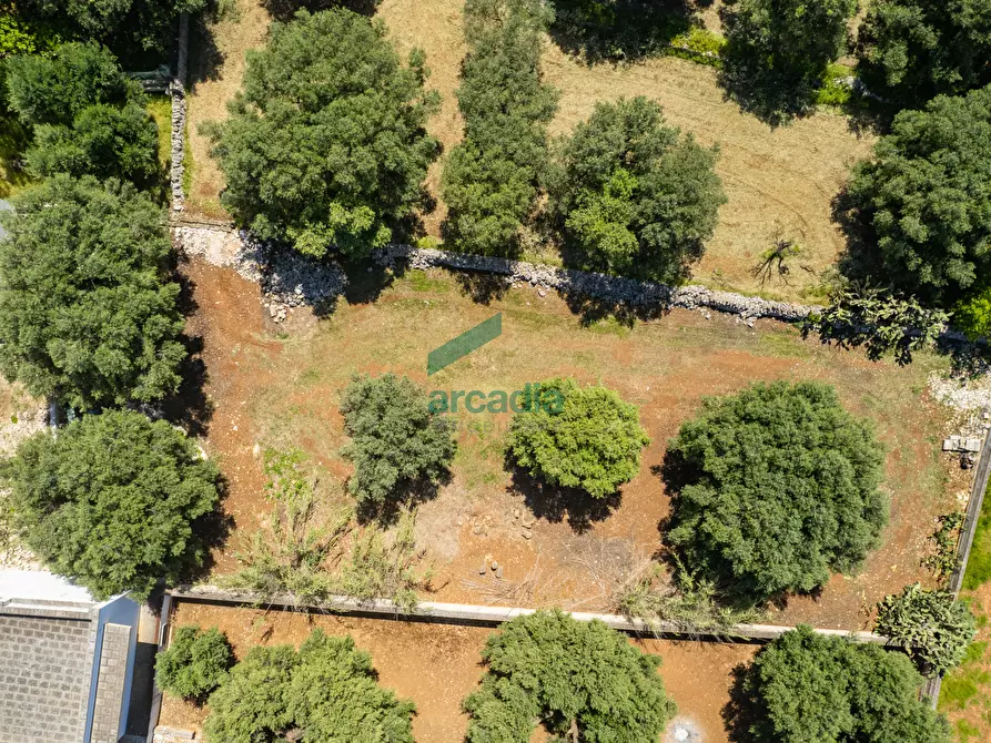 Immagine 12 di Rustico / casale in vendita  in Via Teano 58 a Fasano
