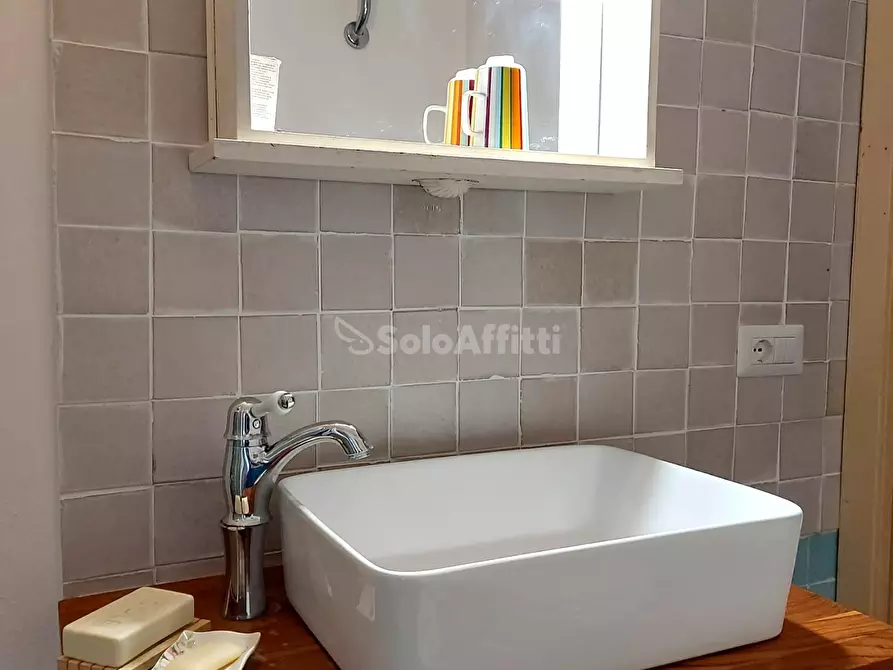 Immagine 12 di Monolocale in affitto  in Viale di Campo Salino a Fiumicino