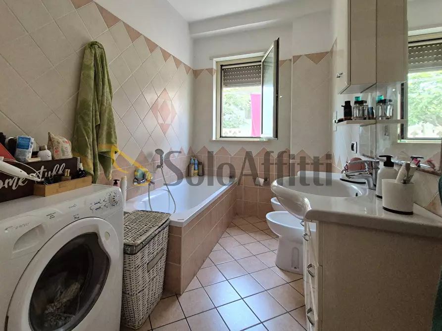 Immagine 4 di Bilocale in affitto  a Catanzaro