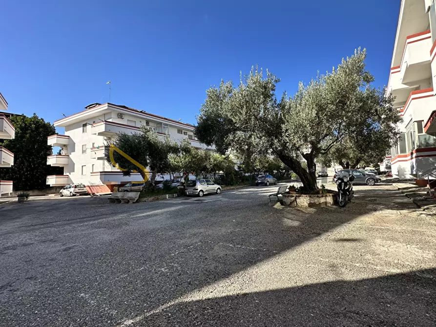 Immagine 17 di Trilocale in affitto  a Catanzaro