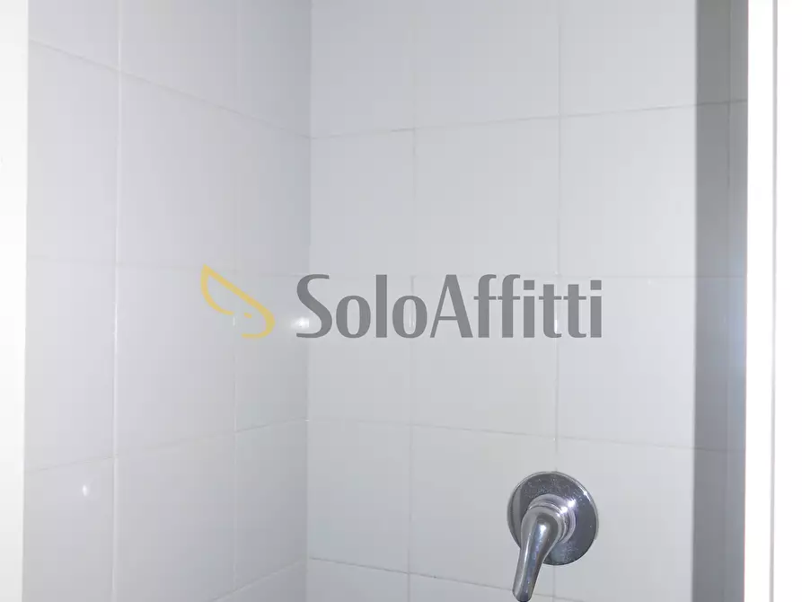 Immagine 13 di Monolocale in affitto  a Pavia