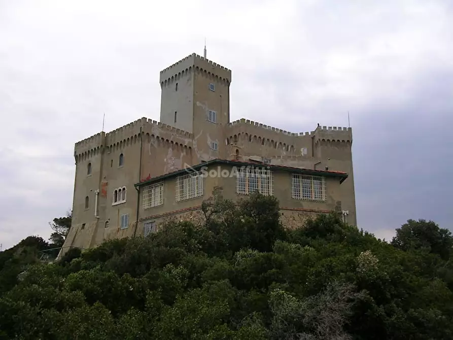 Immagine 3 di Villa in affitto  a Livorno