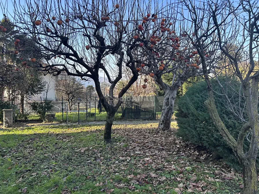 Immagine 28 di Pentalocale in affitto  in Via Sangone 17 a Alpignano