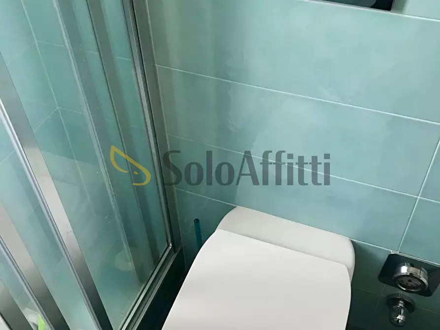 Immagine 29 di Trilocale in affitto  in Via Postumia 1 a Torino