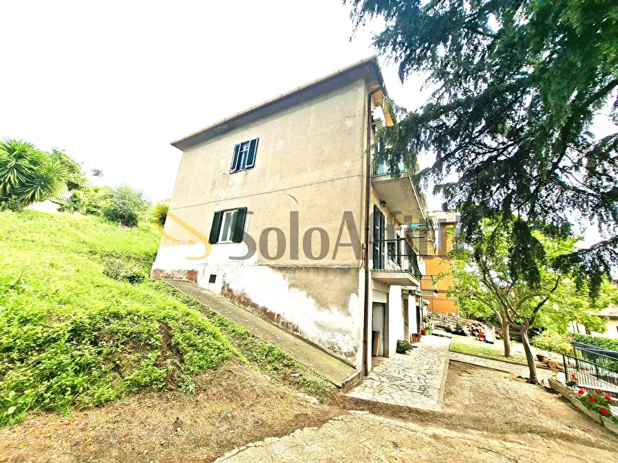 Immagine 23 di Bilocale in affitto  in via San Sebastiano 17 a Morlupo