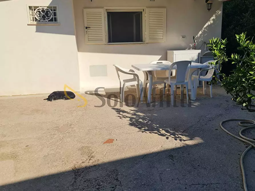 Immagine 12 di Bilocale in affitto  in via delle Muse a San Felice Circeo