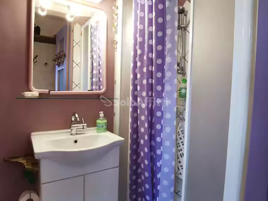 Immagine 14 di Bilocale in affitto  a Torino