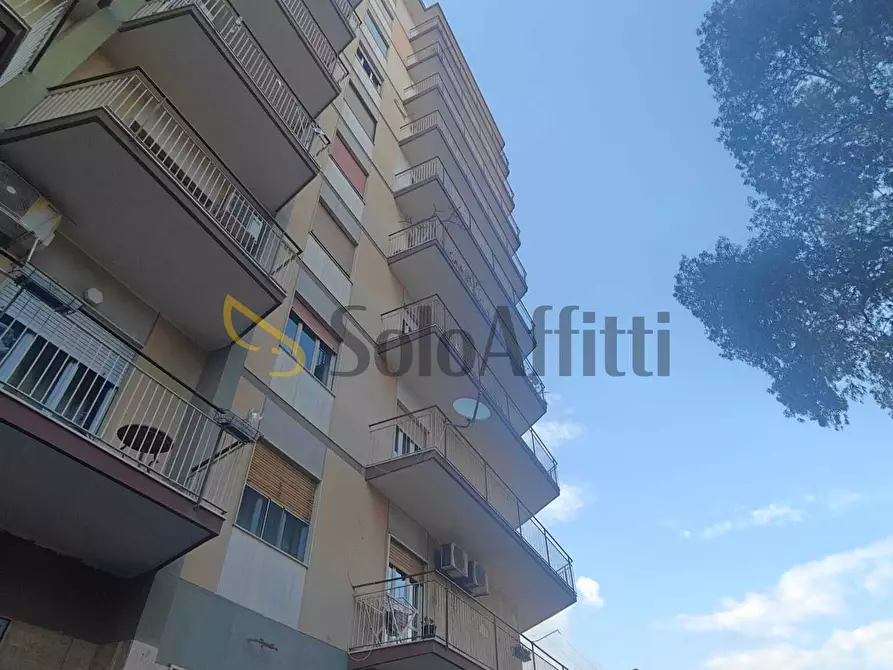 Immagine 15 di Trilocale in affitto  a Catania