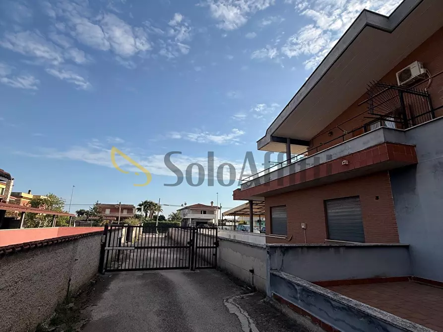 Immagine 12 di Trilocale in affitto  in Via della Fonderia a Anzio