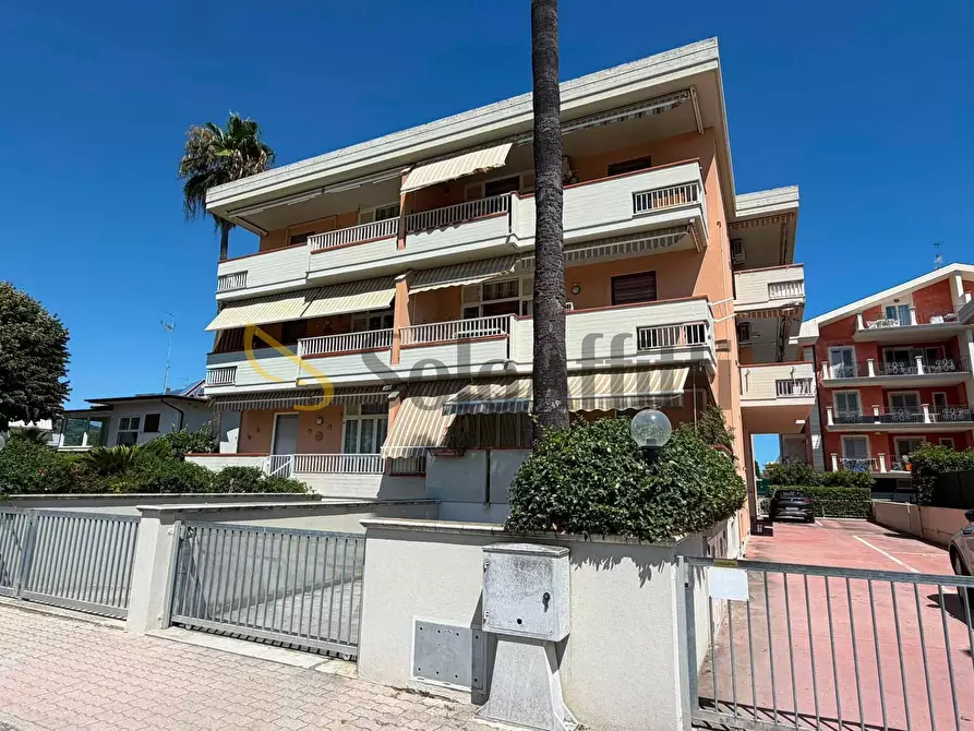 Immagine 19 di Bilocale in affitto  in Via del Parco 5 a Martinsicuro