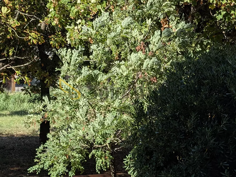 Immagine 12 di Trilocale in affitto  in Via Benedetto Croce 82 a Modena