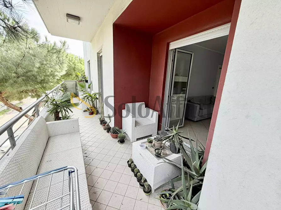 Immagine 23 di Trilocale in affitto  in Via Nazionale 518 a Roseto Degli Abruzzi