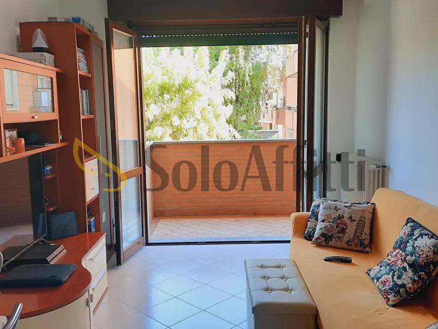 Immagine 16 di Bilocale in affitto  in Via Solferino a Seregno
