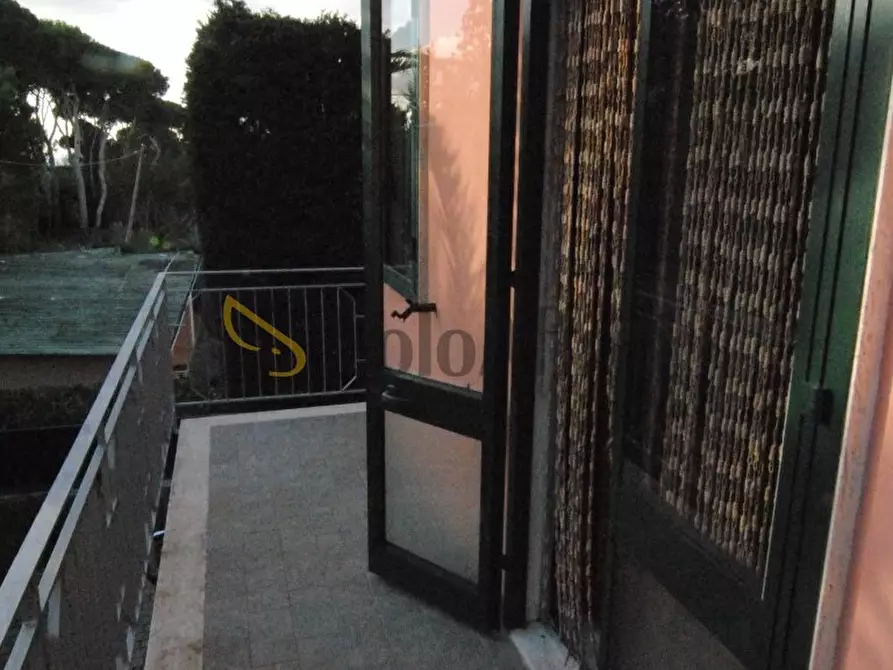 Immagine 7 di Appartamento in affitto  a Livorno
