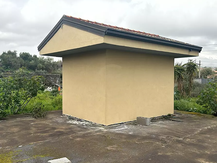 Immagine 3 di Terreno agricolo in vendita  a San Pietro Clarenza