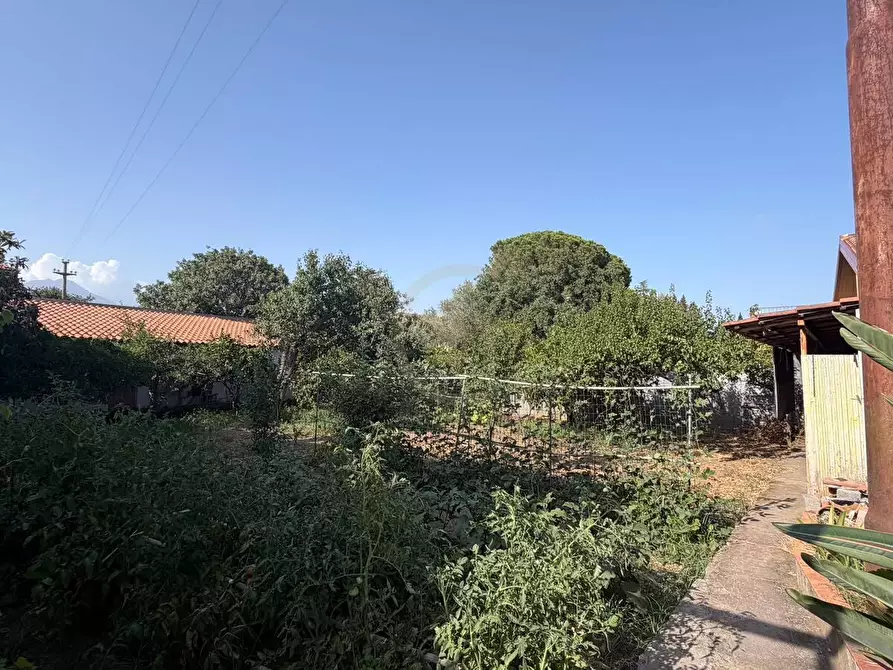 Immagine 3 di Appartamento in vendita  a Mascalucia