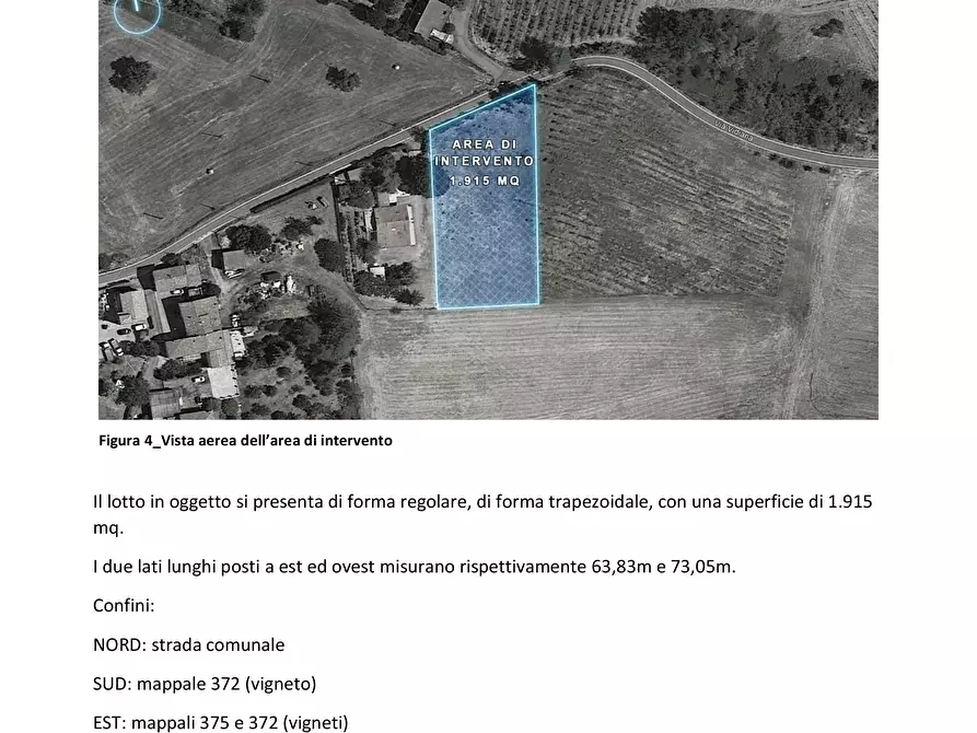 Immagine 3 di Terreno edificabile in vendita  in Via Vidiana 24 a Langhirano