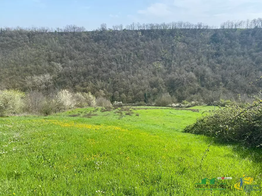 Immagine 1 di Terreno agricolo in vendita  in Miano a Medesano