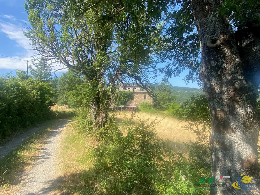 Immagine 2 di Terreno agricolo in vendita  in Località Molinelli 59 a Berceto