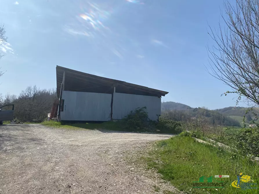 Immagine 7 di Terreno agricolo in vendita  in Miano a Medesano