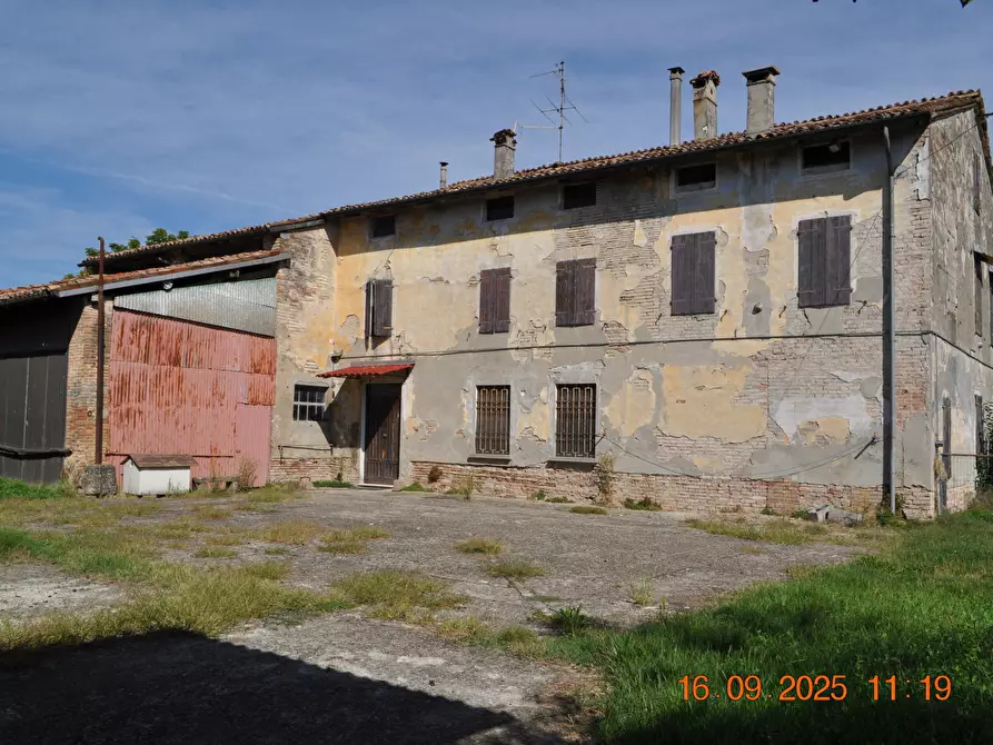 Immagine 30 di Rustico / casale in vendita  in San Quirico a Sissa Trecasali