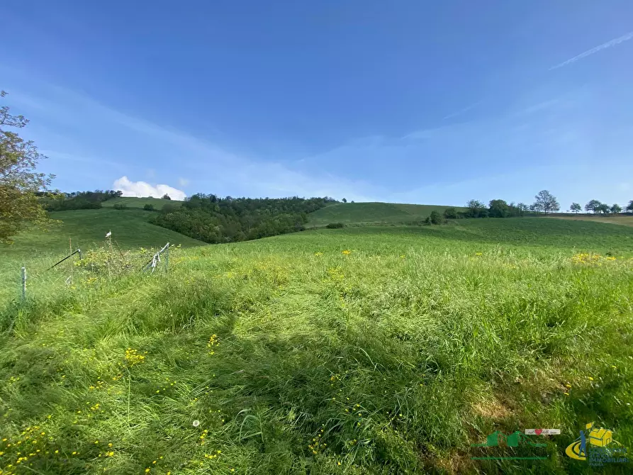 Immagine 33 di Casa indipendente in vendita  in Strada per Varano Marchesi 37 a Medesano