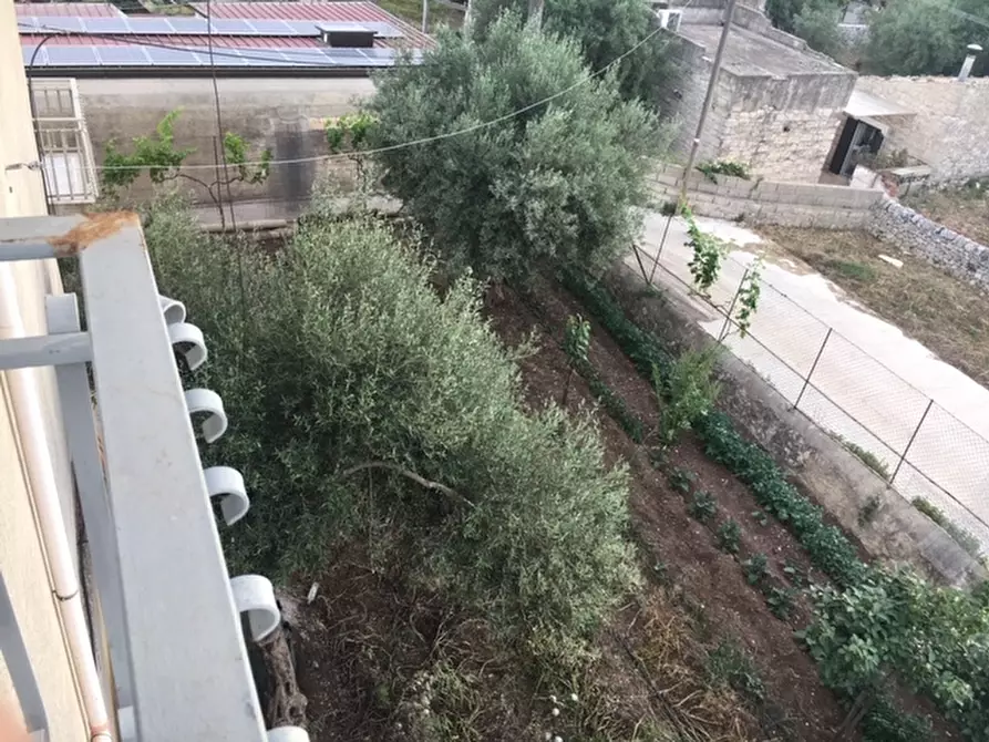 Immagine 12 di Terratetto in vendita  a Modica
