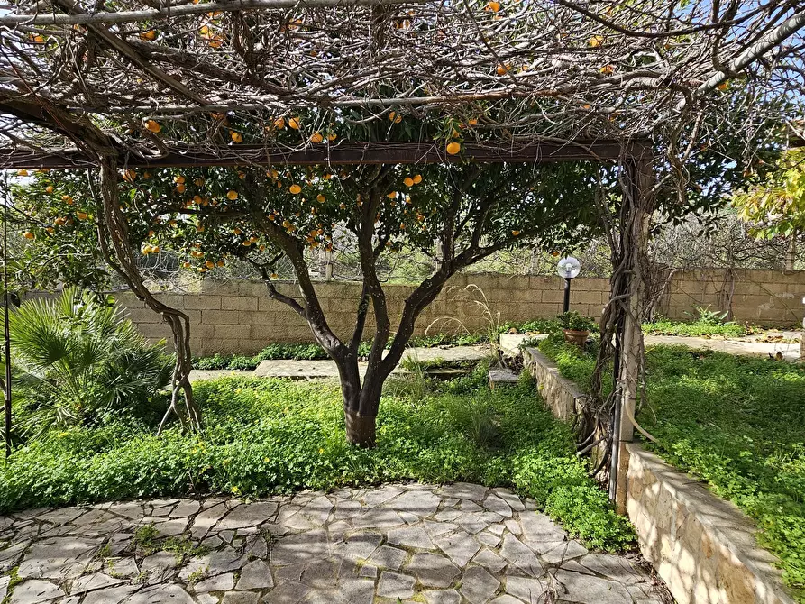 Immagine 11 di Villa in vendita  in Corso Mediterraneo 118 a Modica