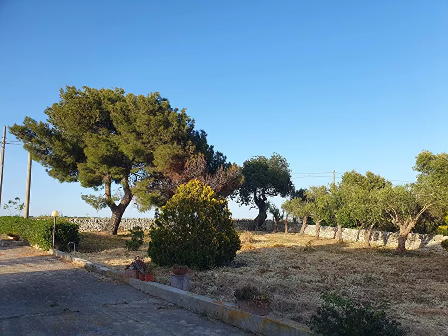 Immagine 21 di Villa in vendita  in Contrada Busitta 17 a Modica