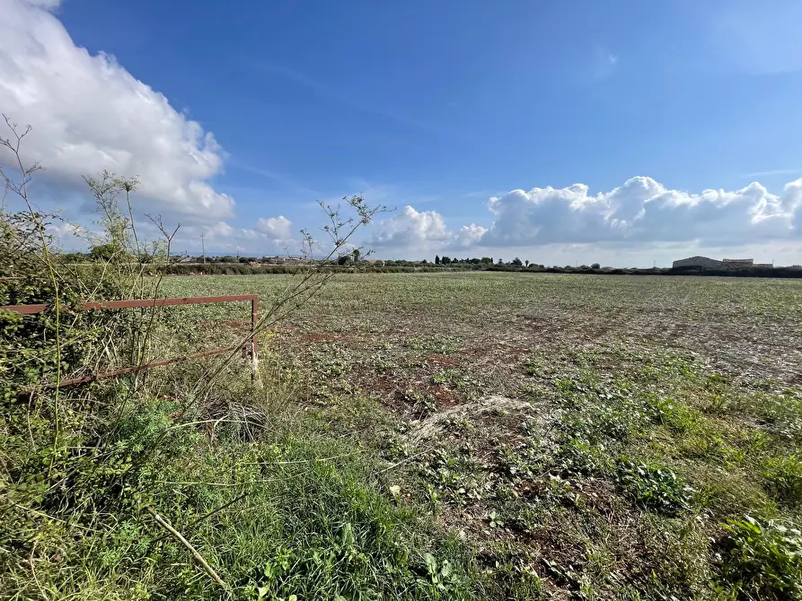 Immagine 3 di Terreno agricolo in vendita  in Via ciancia porta di ferro a Modica