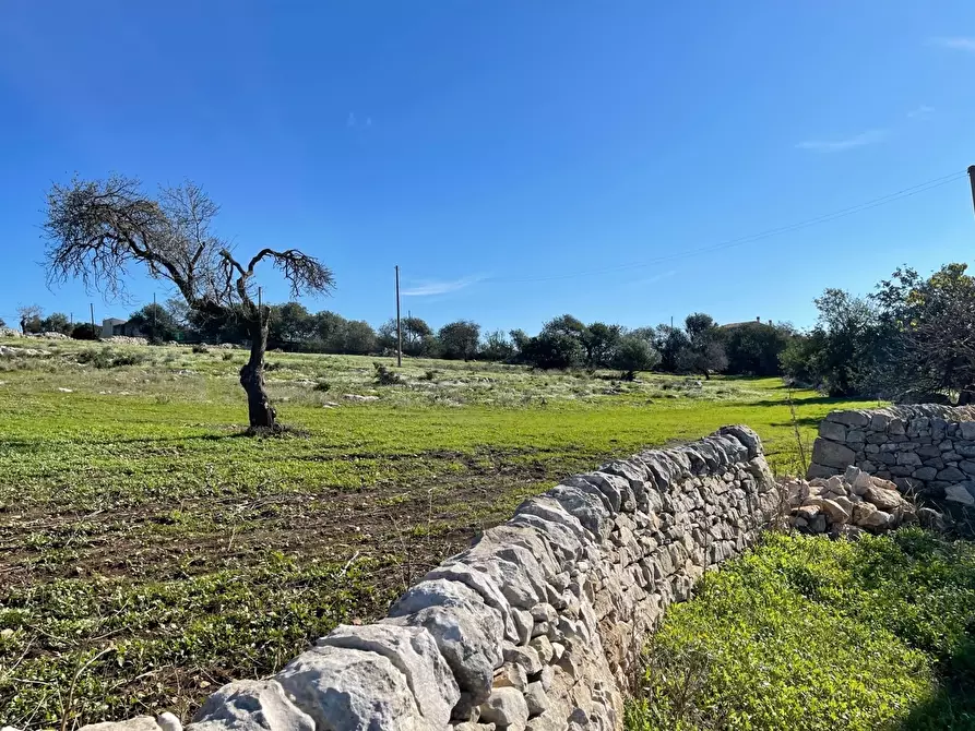 Immagine 11 di Terreno agricolo in vendita  in Contrada San Marco a Scicli