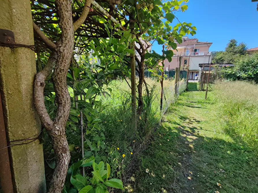 Immagine 11 di Appartamento in vendita  a Vezzano Ligure