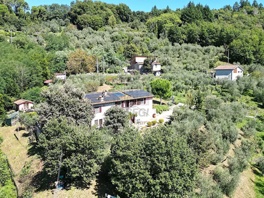 Immagine 4 di Rustico / casale in vendita  in Località Frantoio, Valdottavo 17 a Borgo A Mozzano