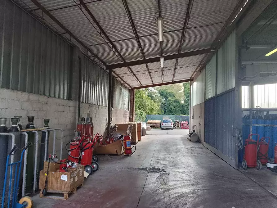 Immagine 5 di Attività artigianale in vendita  a Lucca